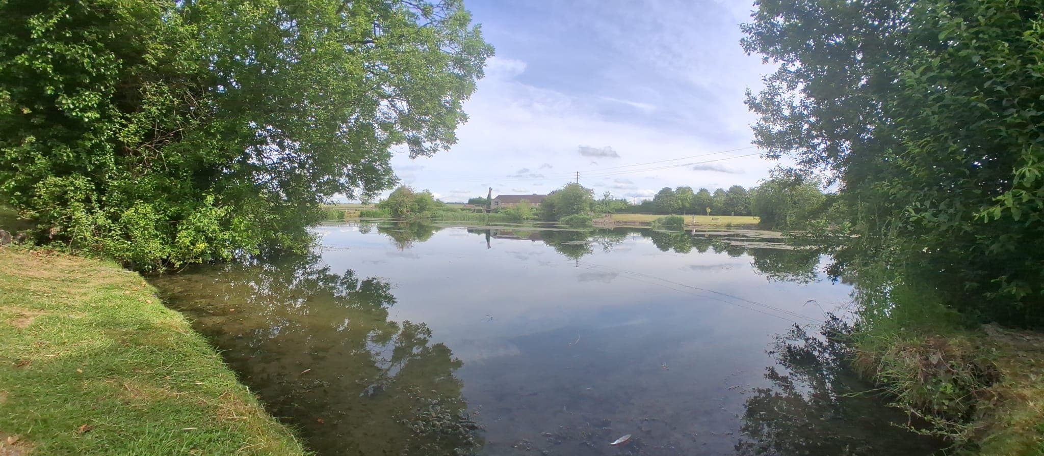 The lake looking north across reflective summer water
